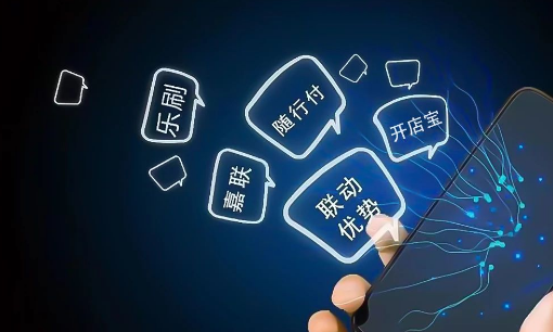 拉卡拉、嘉聯、國通、海科、合利寶、樂刷、隨行付、聯動、開店寶年度業績盤點